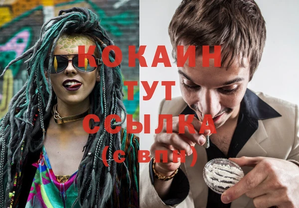прущие крисы Балахна