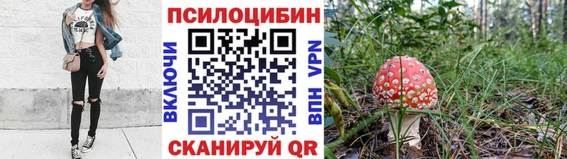 мориарти Telegram Ядрин Галлюциногенные грибы мухоморы как найти наркотики